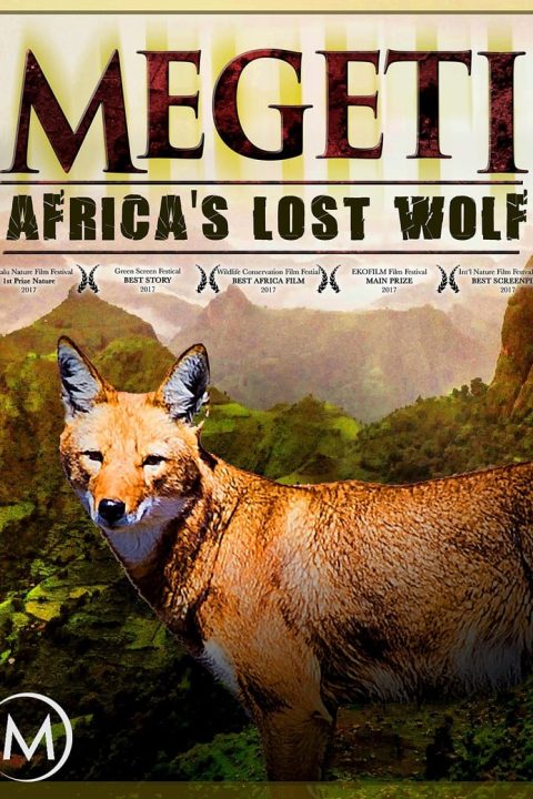 Plakát Megeti - Africa's Lost Wolf