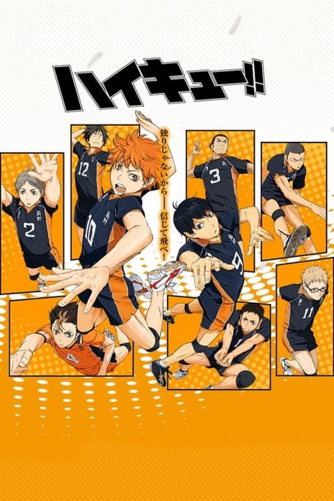 Plakát Haikyu!!