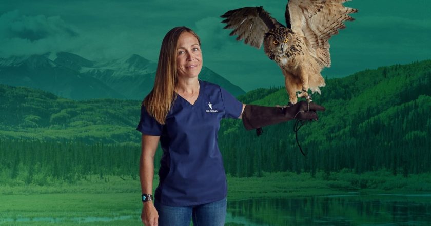 Dr. Oakley, Yukon Vet