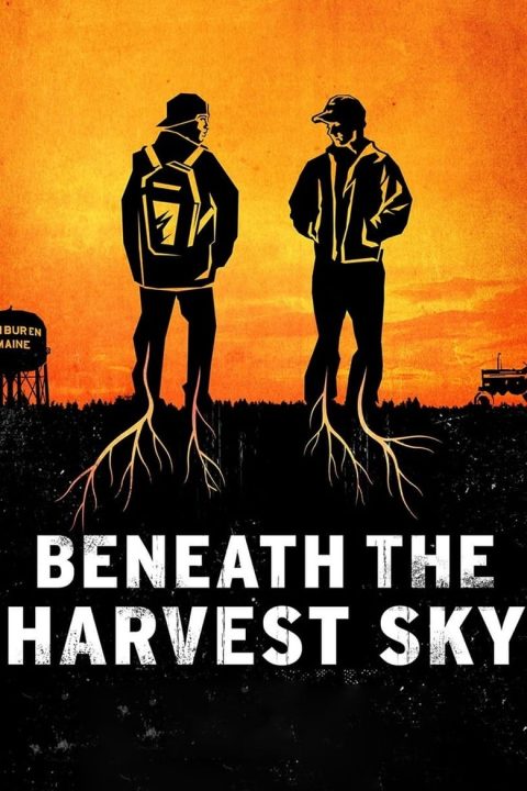 Plakát Beneath the Harvest Sky