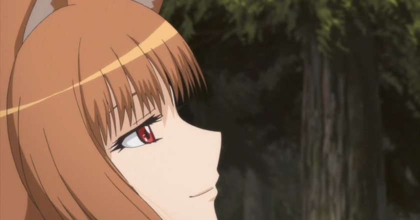 Spice and Wolf