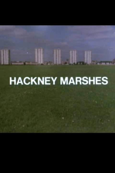 Hackney Marshes