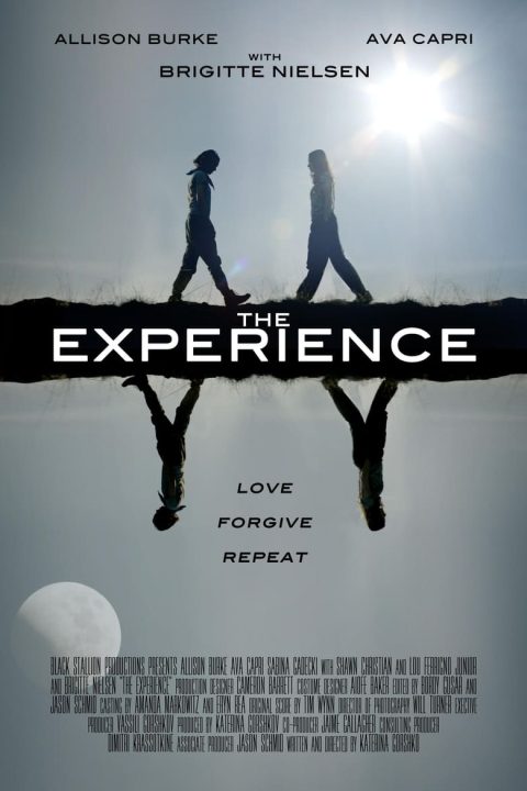 Plakát The Experience