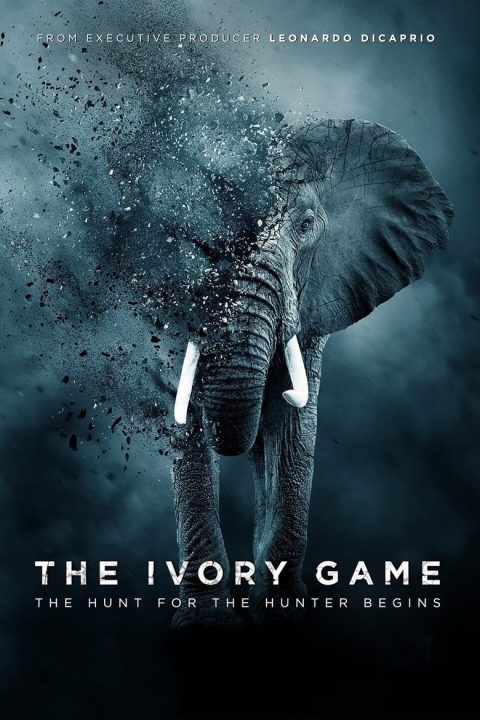 Plakát The Ivory Game