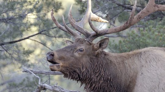 America’s National Parks - 1. epizoda