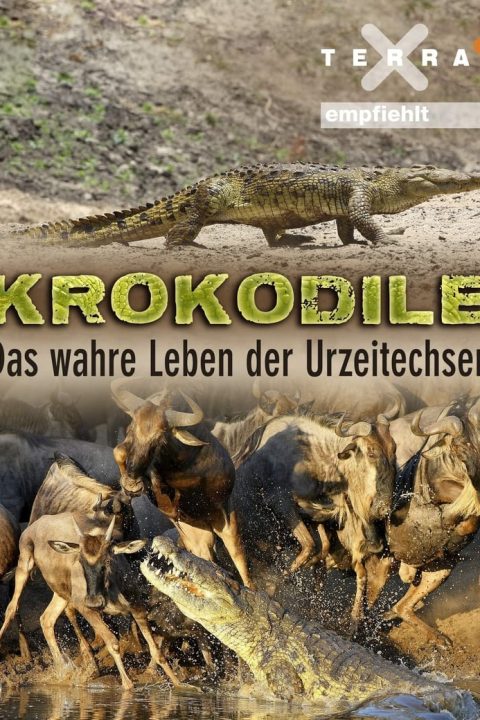 Plakát Krokodile - das wahre Leben der Urzeitechsen