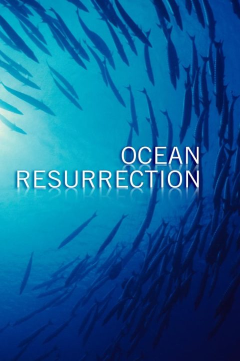 Plakát Ocean Resurrection