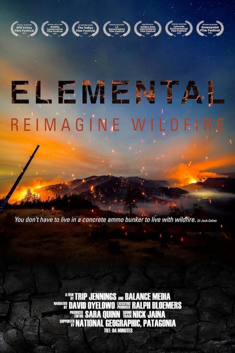 Plakát Elemental: Reimagine Wildfire