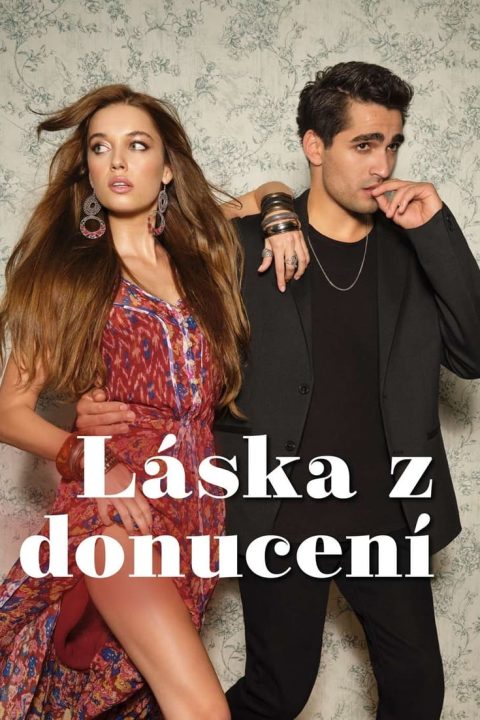 Plakát Láska z donucení