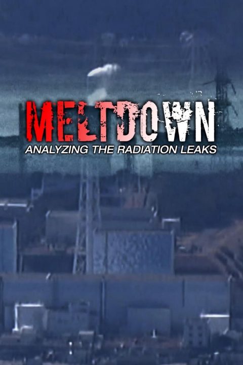 Plakát Meltdown:  Analyzing the Radiation Leaks