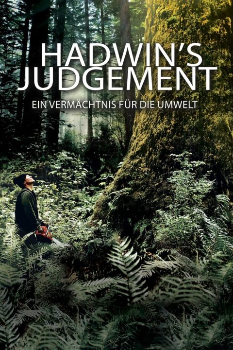 Plakát Hadwin's Judgement