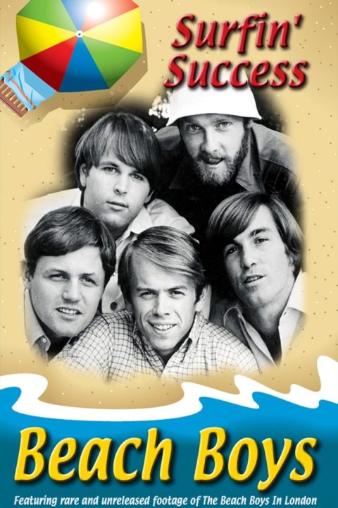 Plakát Beach Boys: Surfin' Success