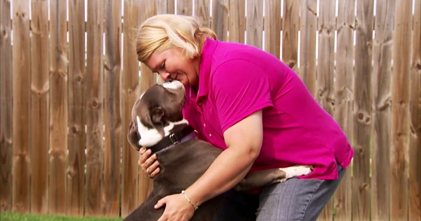 Pit Bulls and Parolees