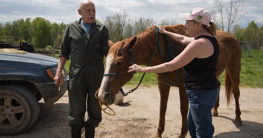 The Incredible Dr. Pol