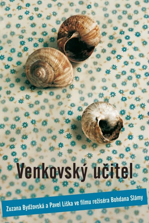 Venkovský učitel