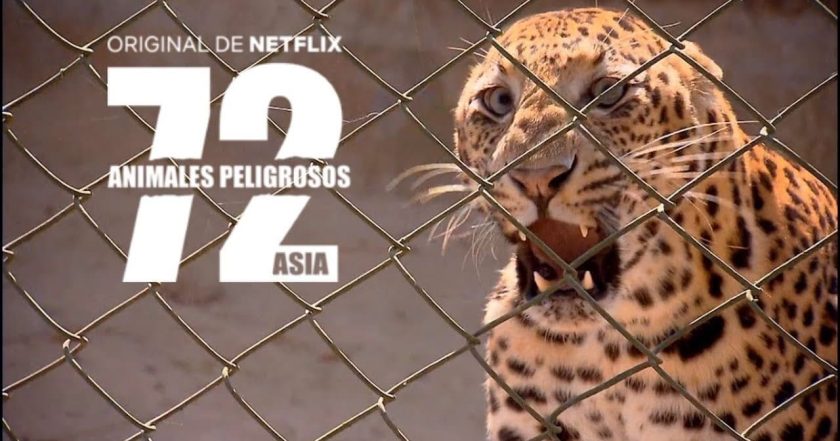 72 Dangerous Animals: Asia