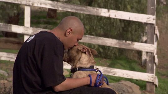 Pit Bulls and Parolees - 2. epizoda