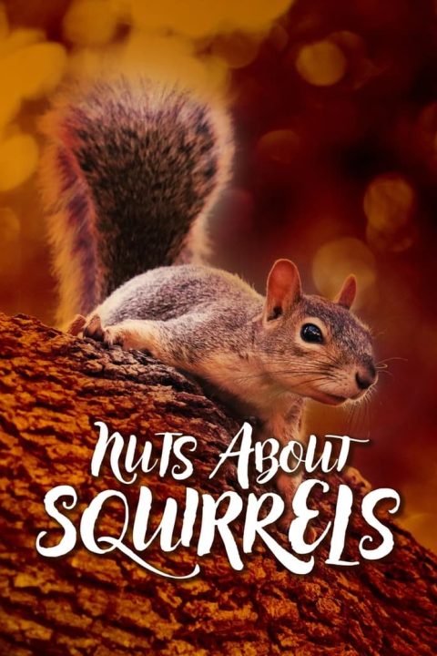 Plakát Nuts About Squirrels