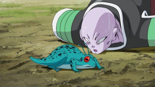 Dragon Ball Super - 22. epizoda