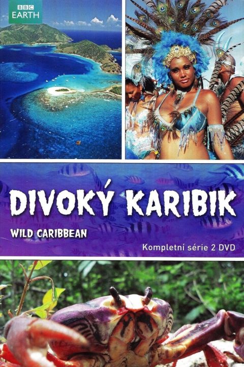 Divoký Karibik