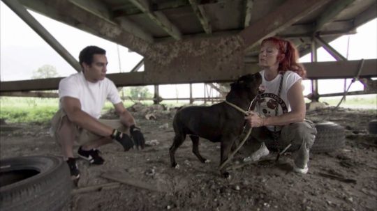 Pit Bulls and Parolees - 8. epizoda