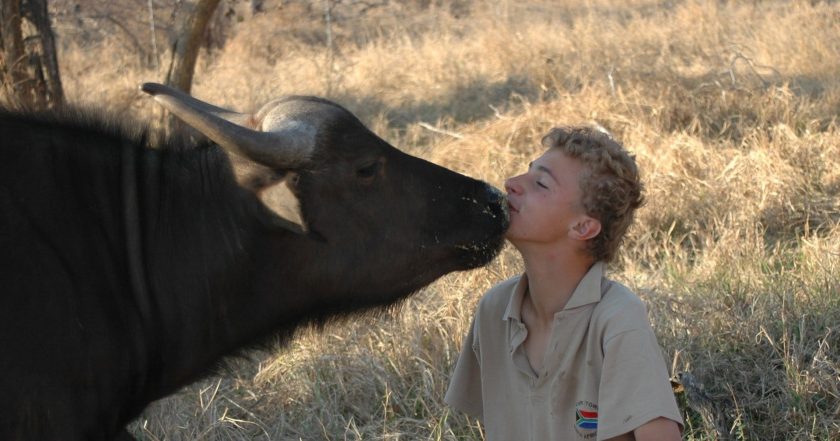 Unlikely Animal Friends