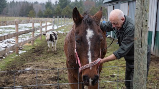 The Incredible Dr. Pol - 10. epizoda