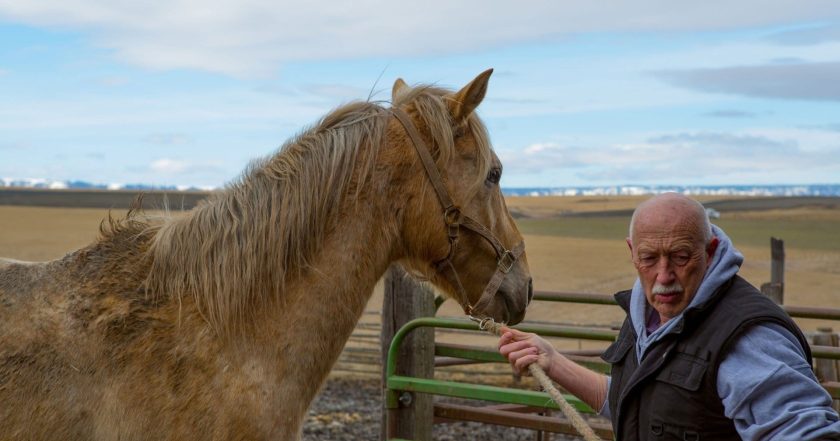 The Incredible Dr. Pol