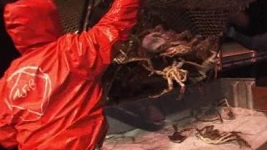 Deadliest Catch - 3. epizoda