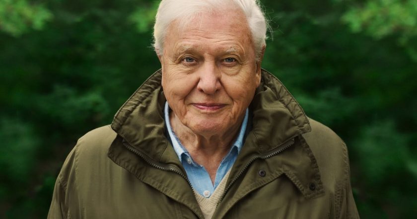 David Attenborough: Život na naší planetě