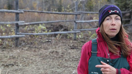 Dr. Oakley, Yukon Vet - 2. epizoda