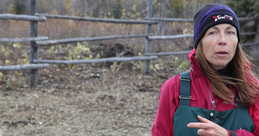 Dr. Oakley, Yukon Vet