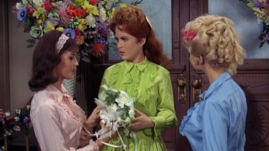 Petticoat Junction - 17. epizoda