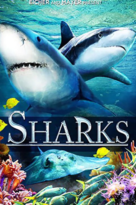 Plakát Sharks (in 3D)