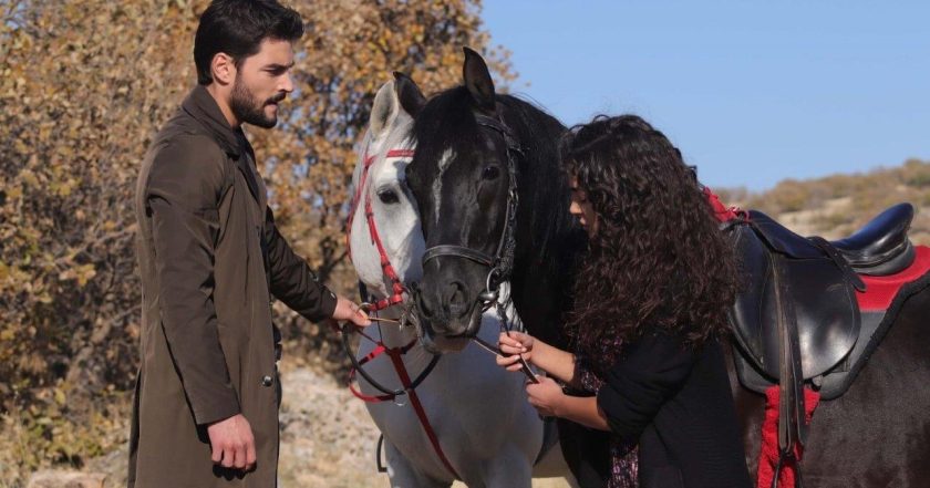 Hercai