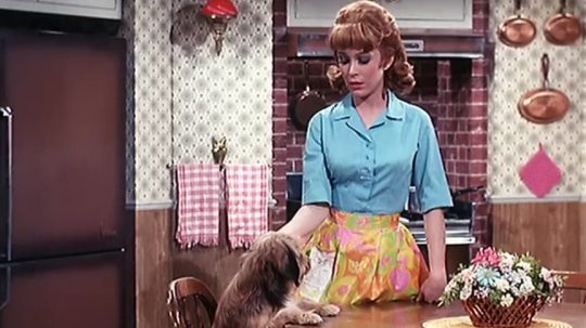 Petticoat Junction - 21. epizoda