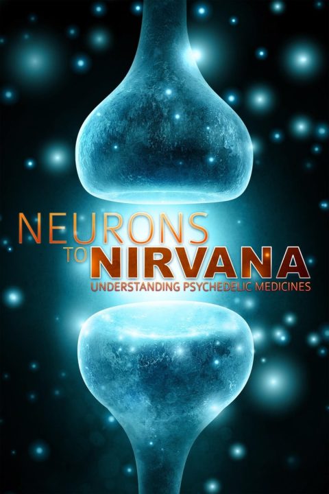 Plakát Neurons to Nirvana