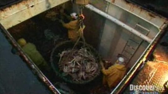 Deadliest Catch - 6. epizoda