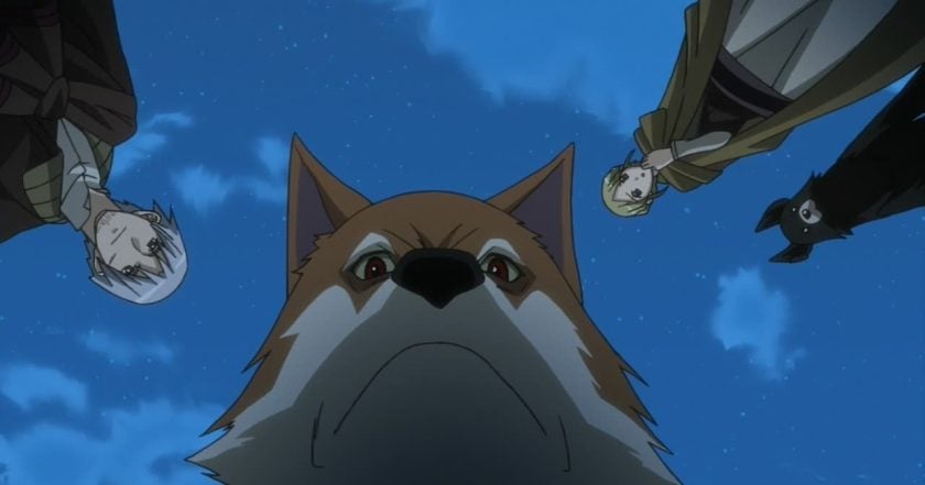 Spice and Wolf