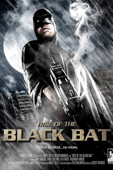 Plakát Rise of the Black Bat