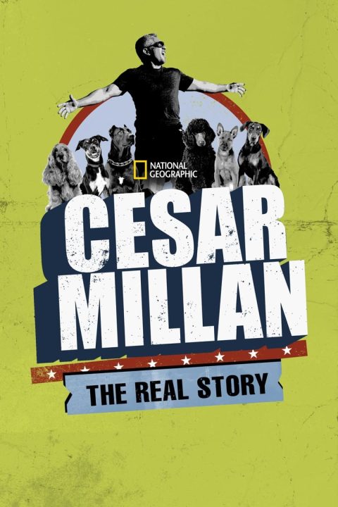 Plakát Cesar Millan: The Real Story