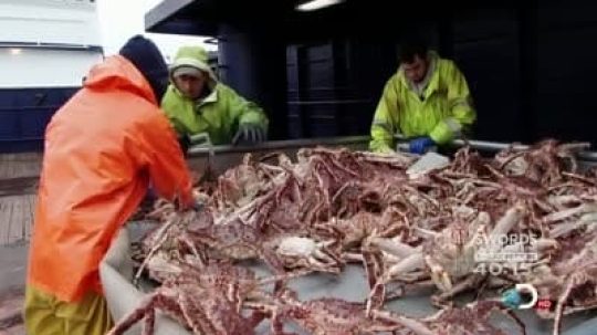 Deadliest Catch - 6. epizoda