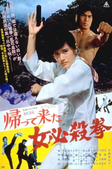 Plakát 帰って来た女必殺拳