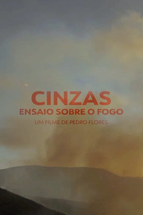 Plakát Cinzas, Ensaio Sobre o Fogo