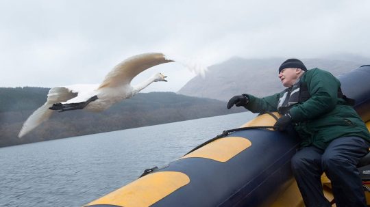 David Attenborough: Život v oblacích - 2. epizoda