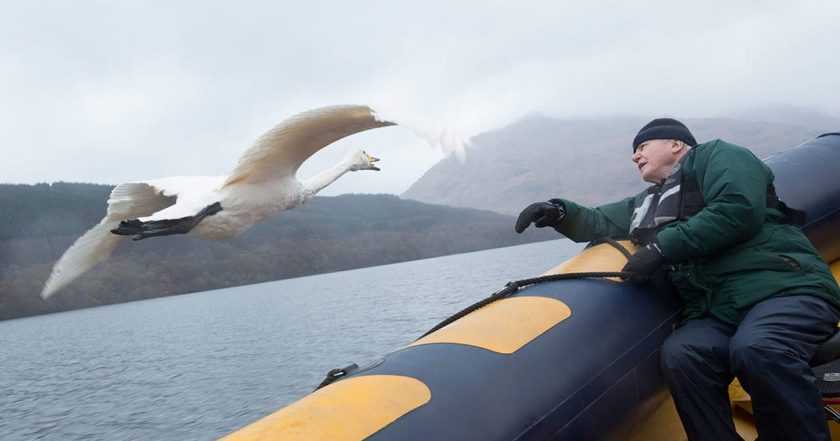 David Attenborough: Život v oblacích