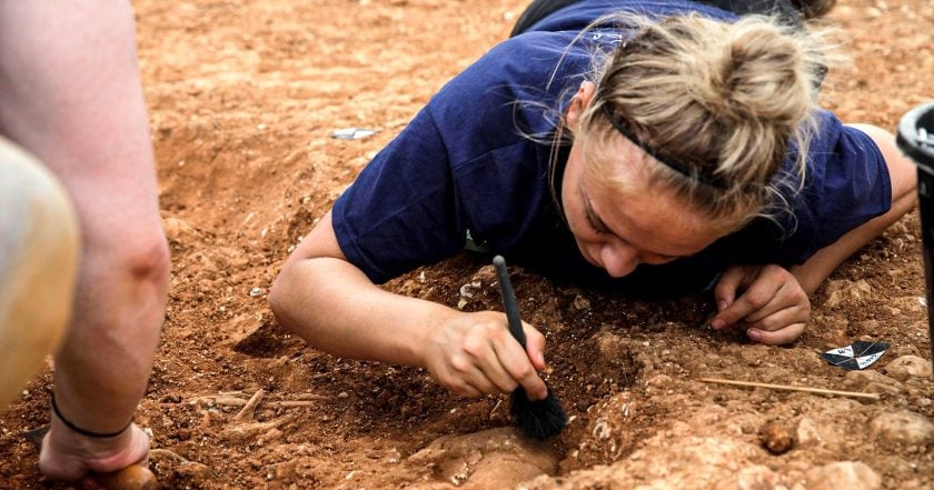 Digging for Britain