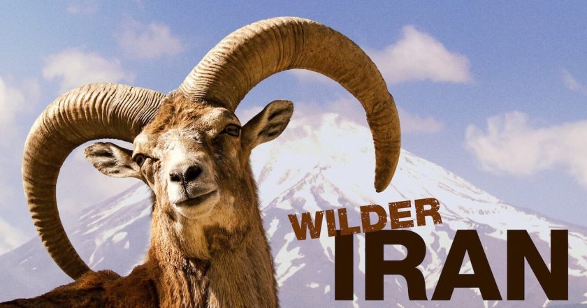 Wilder Iran