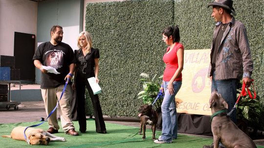 Pit Bulls and Parolees - 6. epizoda