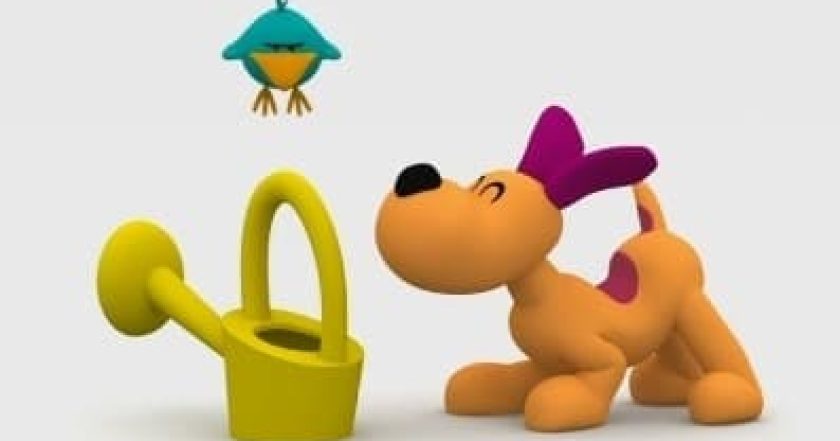 Pocoyo